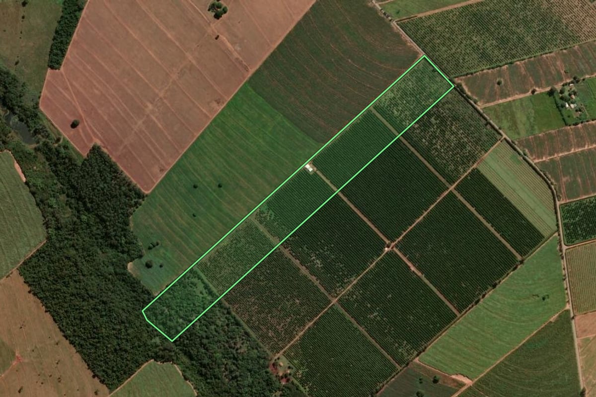 Imagem de satélite do imóvel rural em Alto Paraná (PR), com o contorno declarado no CAR desenhado por cima.