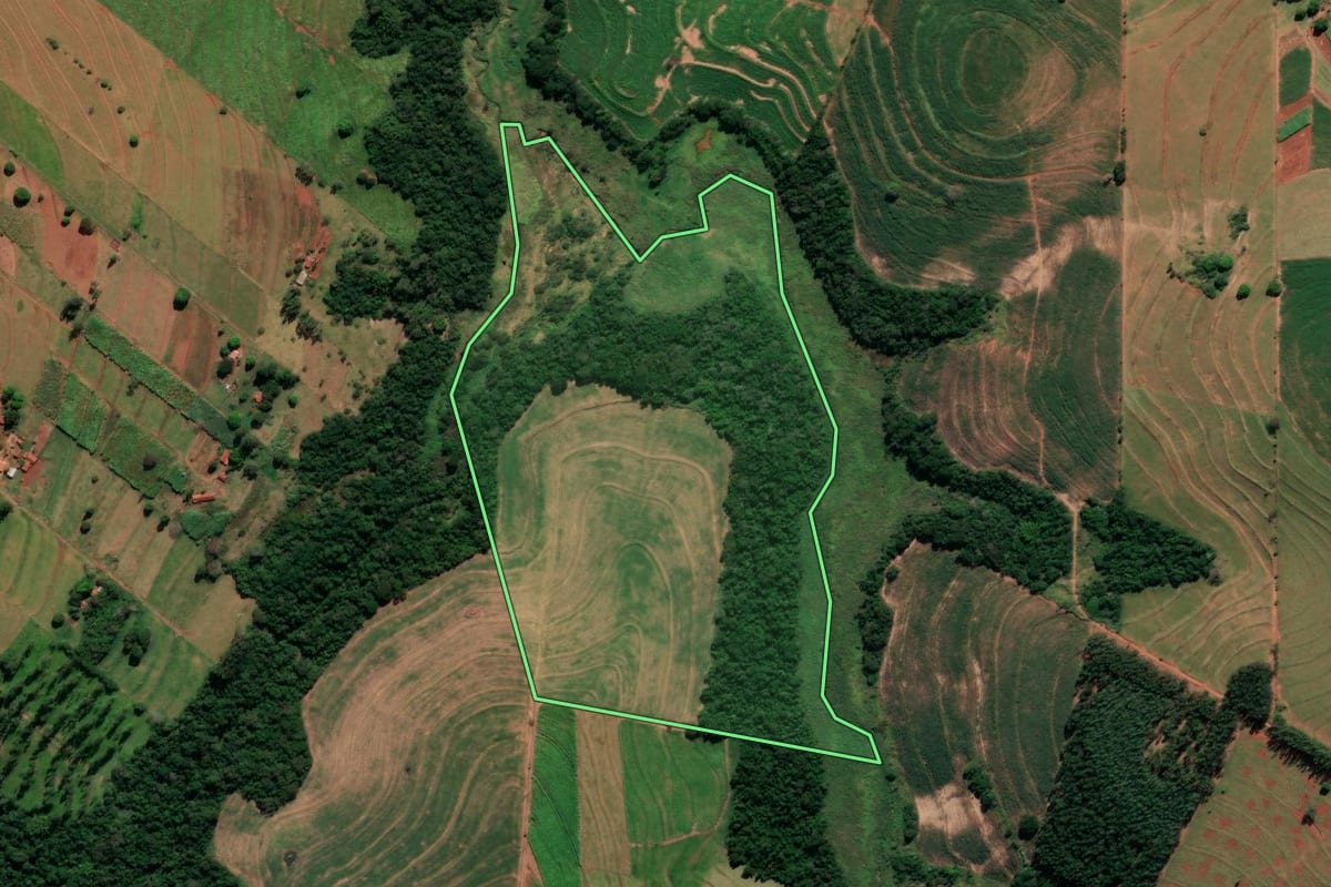 Imagem de satélite do imóvel rural em Alto Paraná (PR), com o contorno declarado no CAR desenhado por cima.