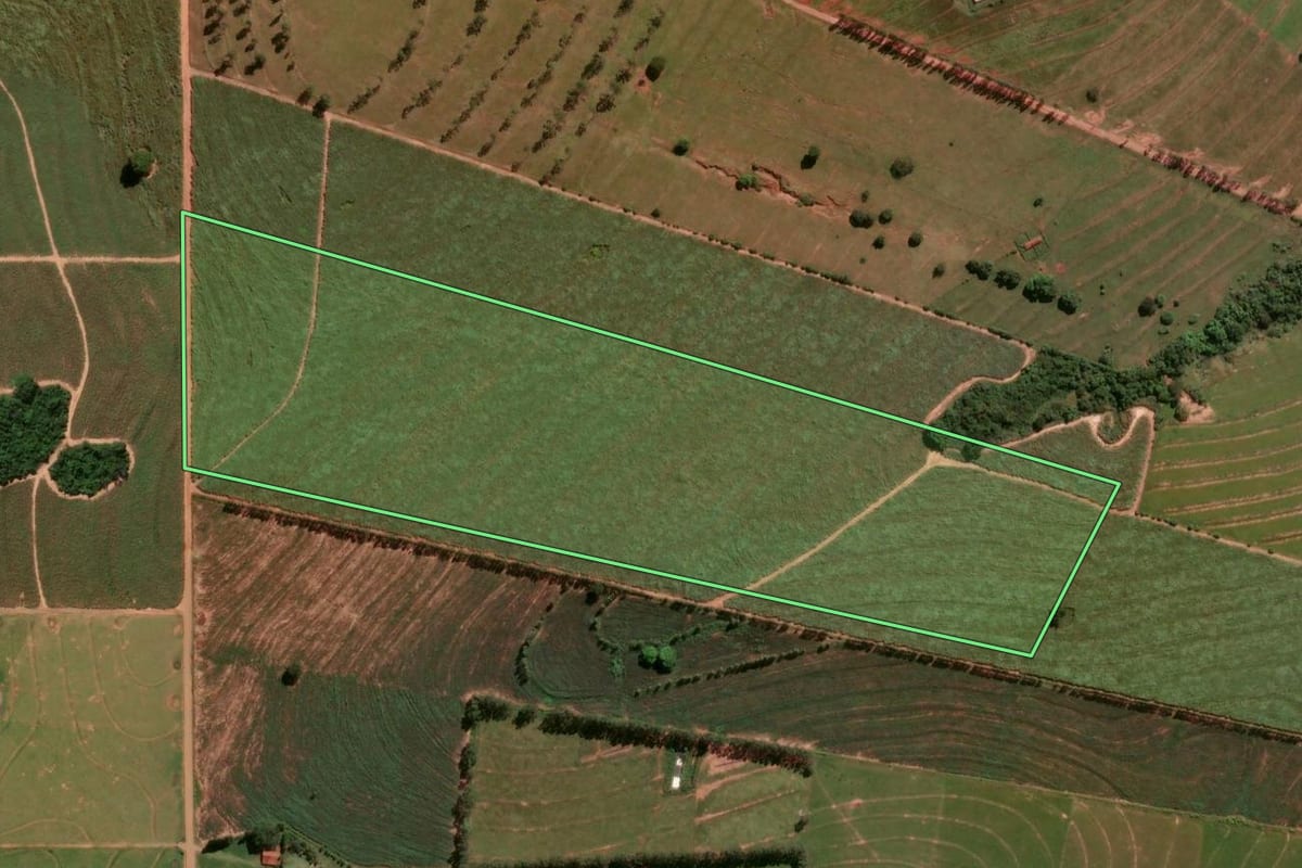 Imagem de satélite do imóvel rural em Alto Paraná (PR), com o contorno declarado no CAR desenhado por cima.