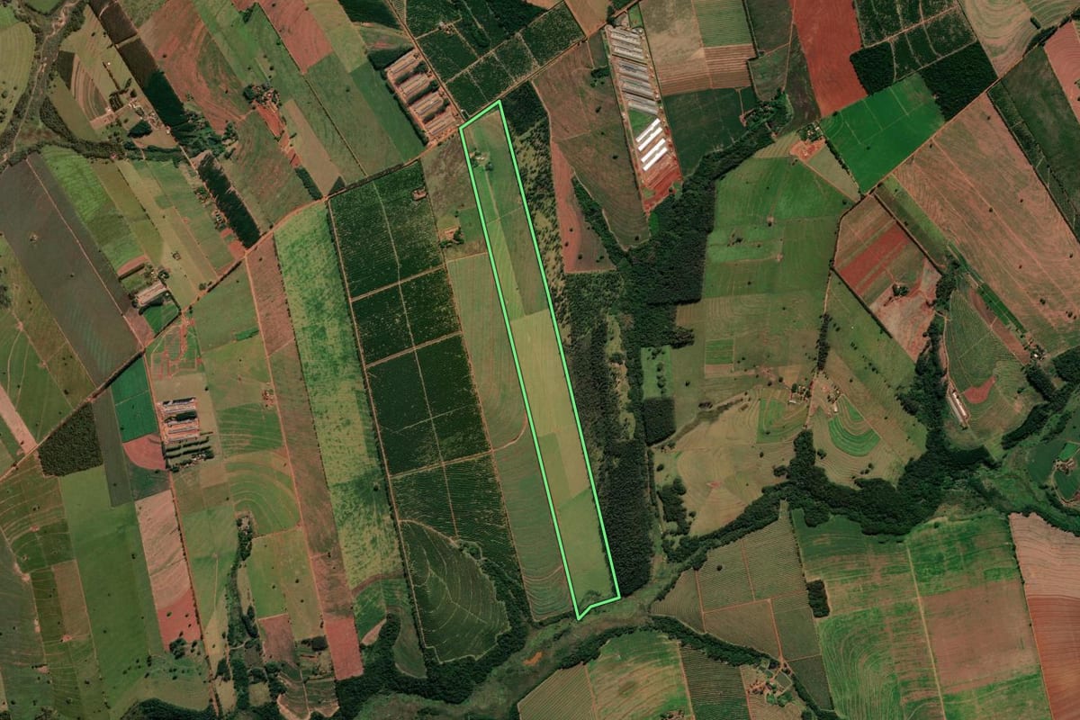 Imagem de satélite do imóvel rural em Alto Paraná (PR), com o contorno declarado no CAR desenhado por cima.