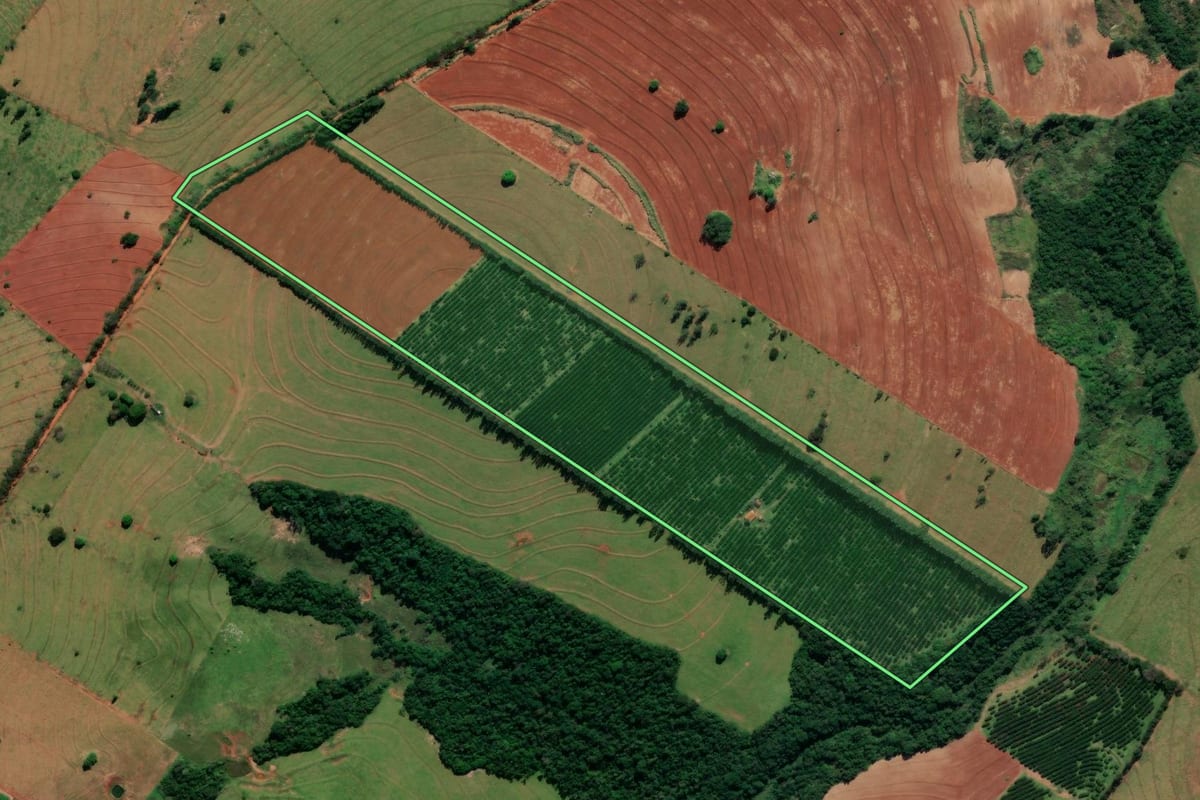 Imagem de satélite do imóvel rural em Alto Paraná (PR), com o contorno declarado no CAR desenhado por cima.