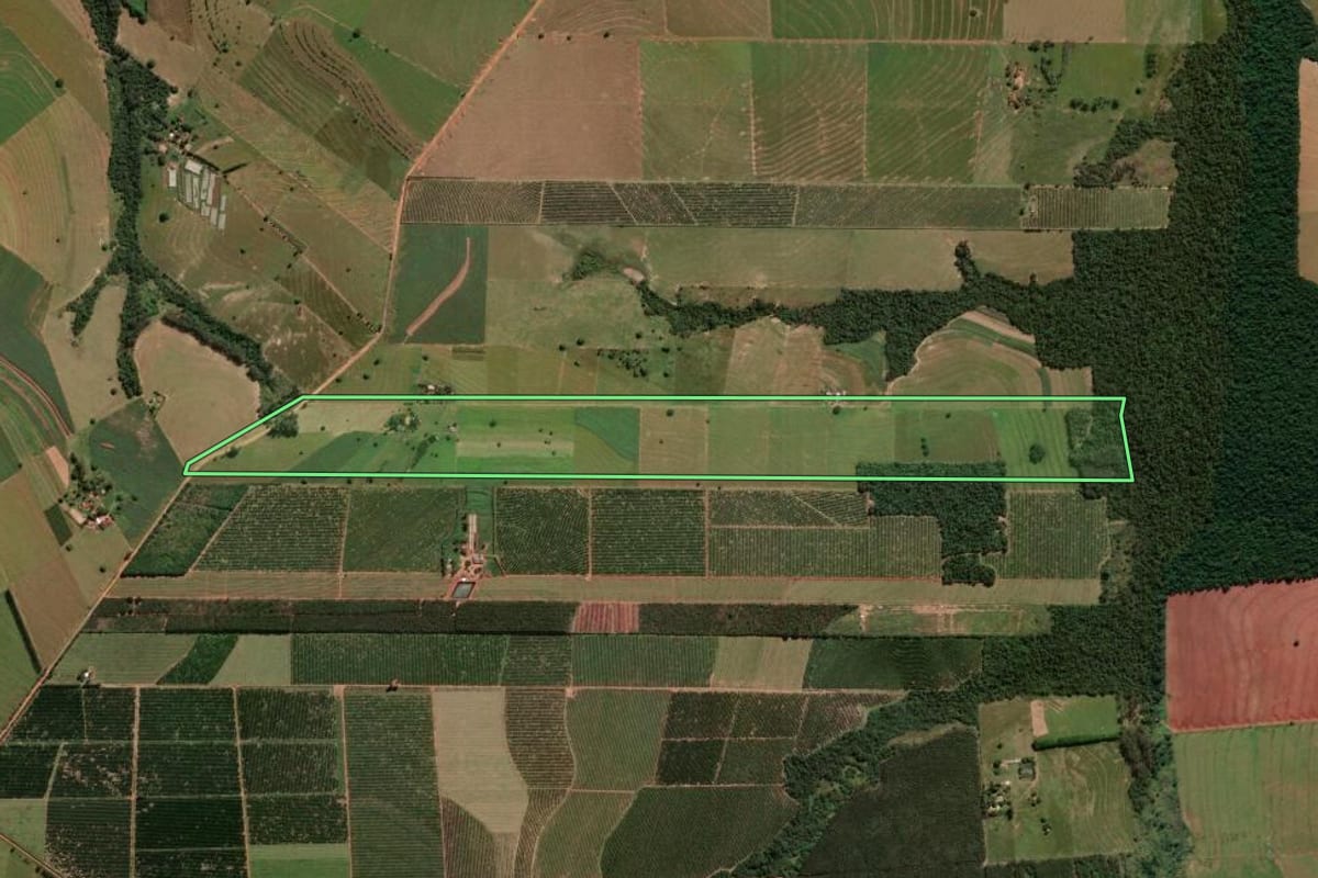 Imagem de satélite do imóvel rural em Alto Paraná (PR), com o contorno declarado no CAR desenhado por cima.