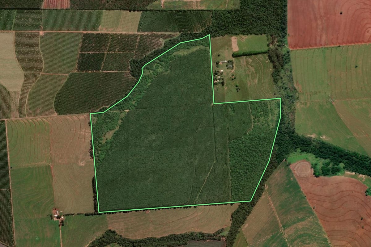 Imagem de satélite do imóvel rural em Alto Paraná (PR), com o contorno declarado no CAR desenhado por cima.