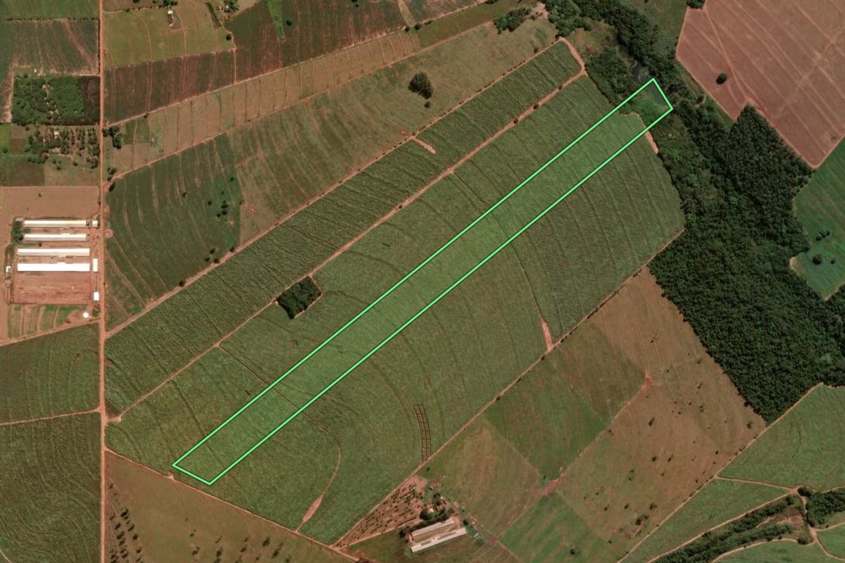 Imagem de satélite do imóvel rural em Alto Paraná (PR), com o contorno declarado no CAR desenhado por cima.