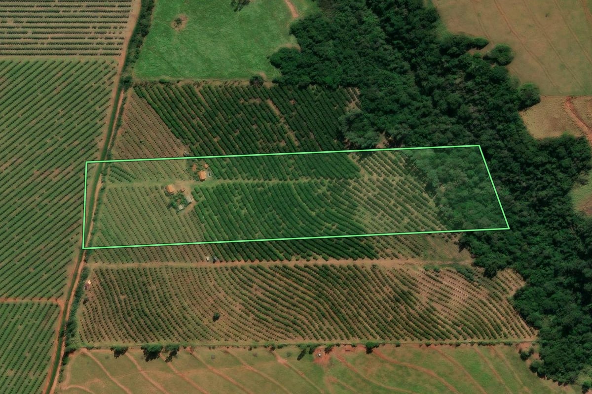 Imagem de satélite do imóvel rural em Alto Paraná (PR), com o contorno declarado no CAR desenhado por cima.