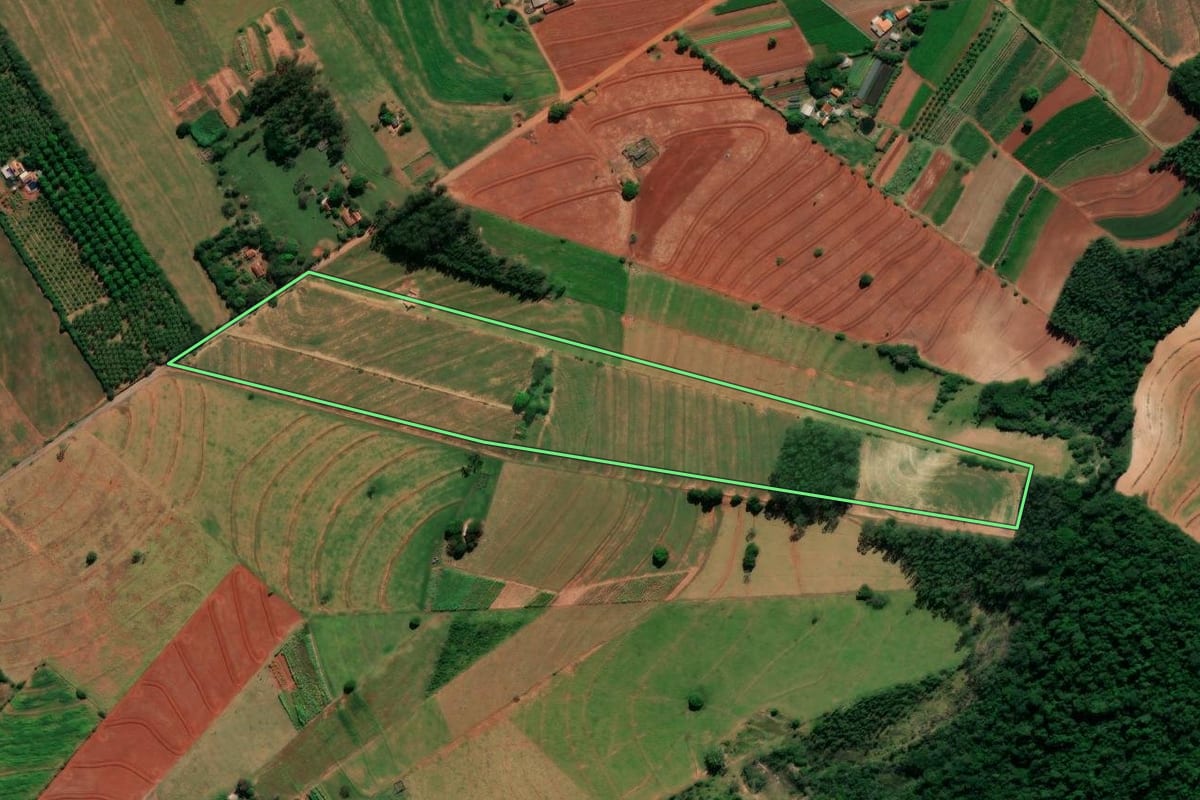 Imagem de satélite do imóvel rural em Alto Paraná (PR), com o contorno declarado no CAR desenhado por cima.