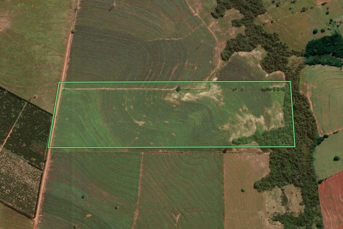 Imagem de satélite do imóvel rural em Alto Paraná (PR), com o contorno declarado no CAR desenhado por cima.