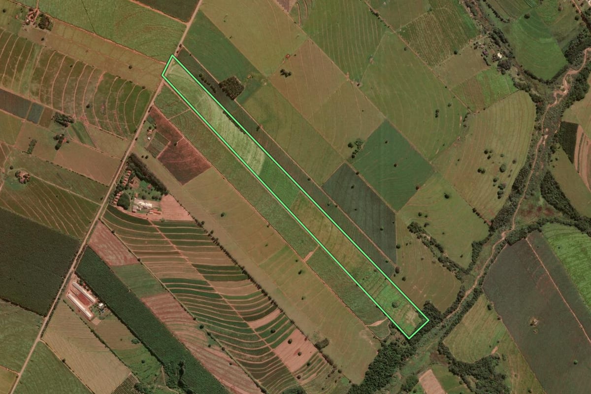 Imagem de satélite do imóvel rural em Alto Paraná (PR), com o contorno declarado no CAR desenhado por cima.
