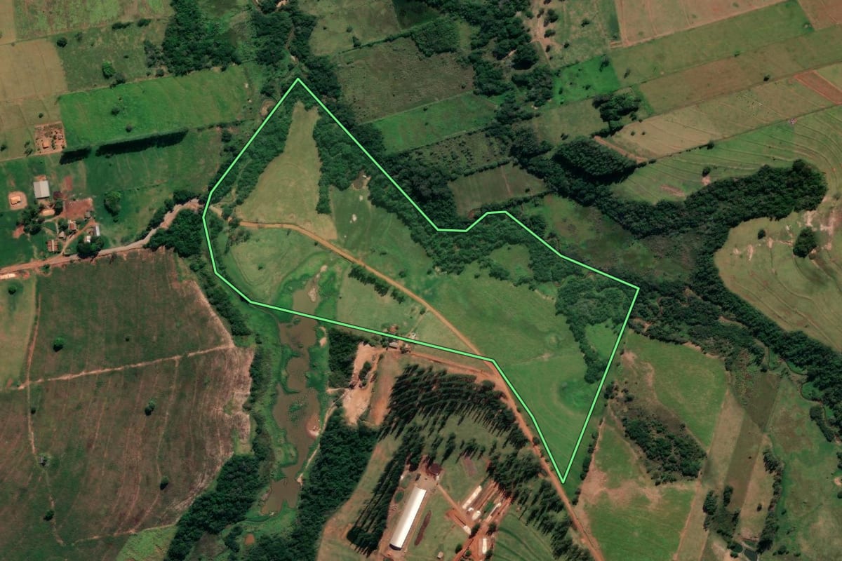 Imagem de satélite do imóvel rural em Alto Paraná (PR), com o contorno declarado no CAR desenhado por cima.