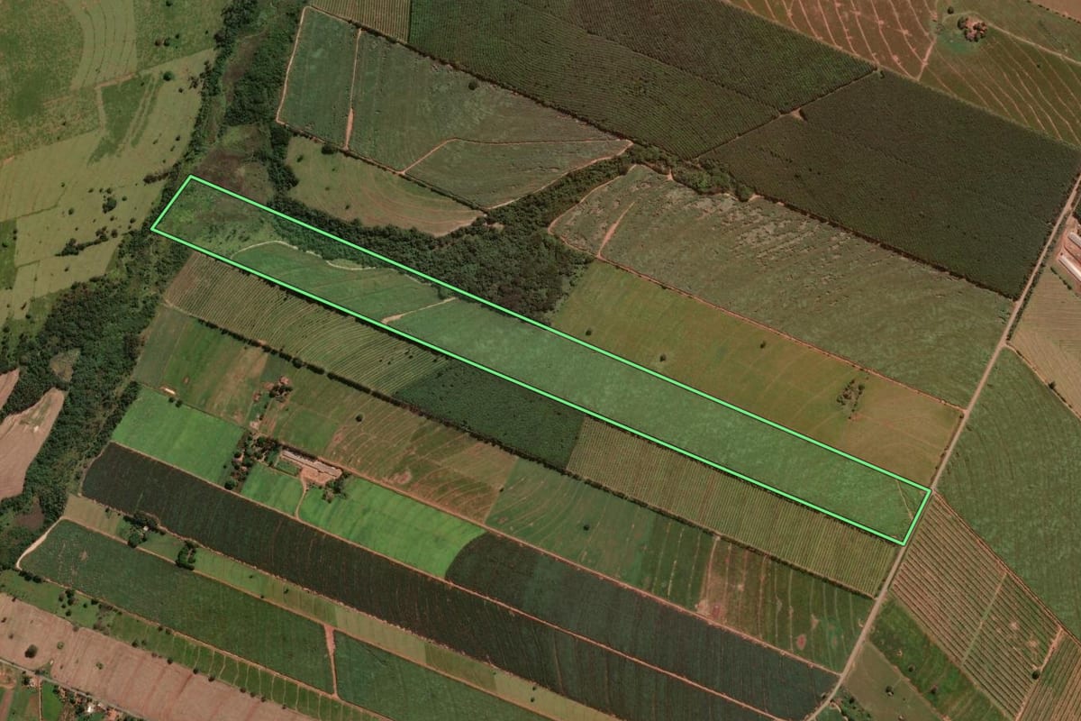 Imagem de satélite do imóvel rural em Alto Paraná (PR), com o contorno declarado no CAR desenhado por cima.