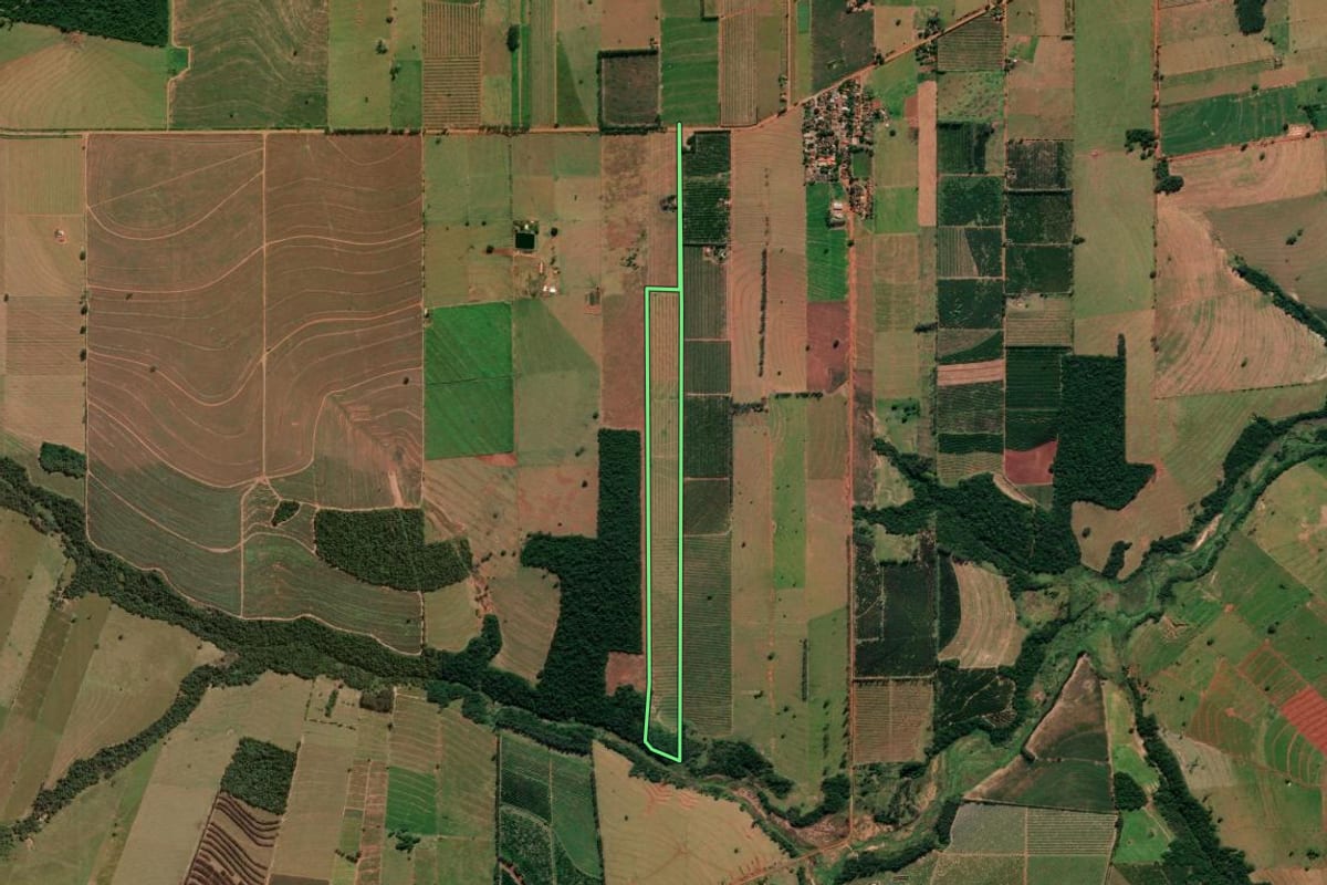 Imagem de satélite do imóvel rural em Alto Paraná (PR), com o contorno declarado no CAR desenhado por cima.