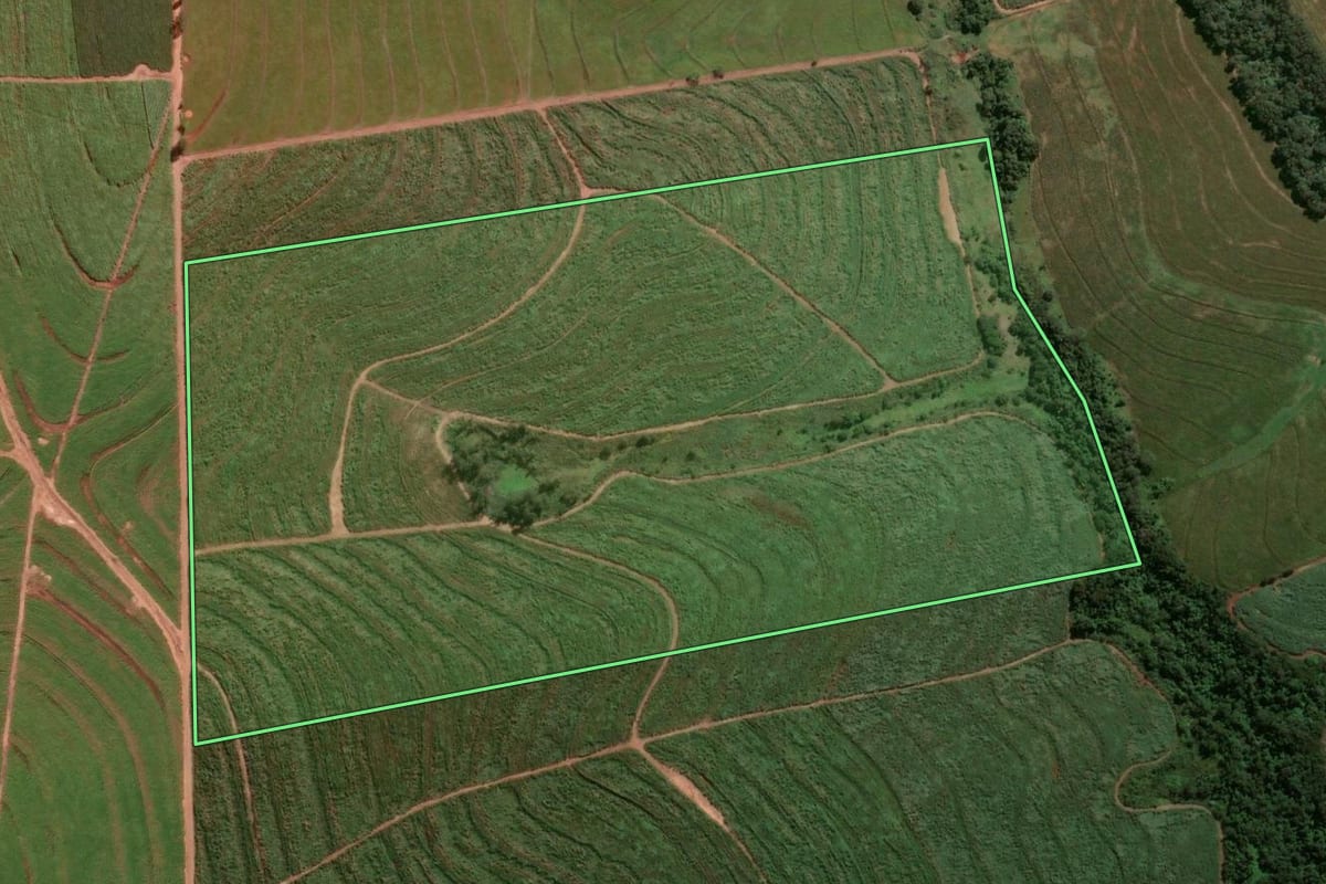 Imagem de satélite do imóvel rural em Alto Paraná (PR), com o contorno declarado no CAR desenhado por cima.