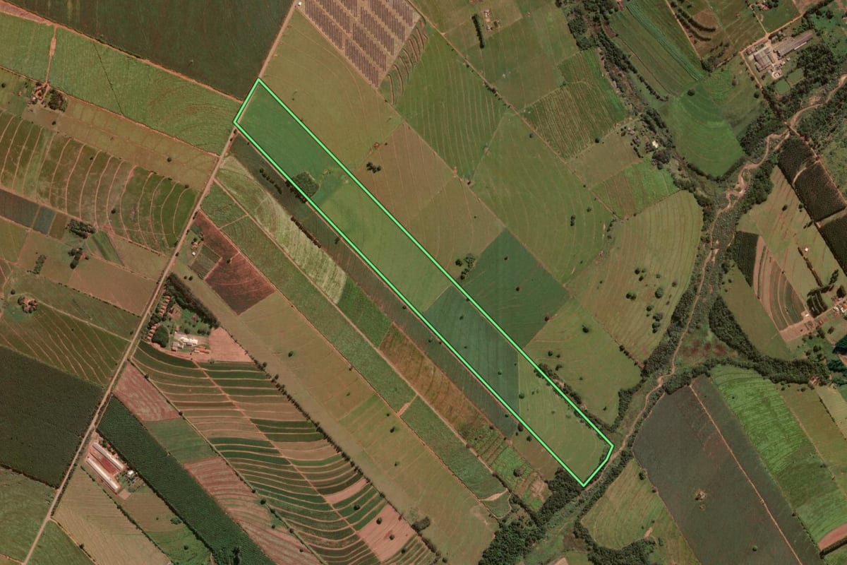 Imagem de satélite do imóvel rural em Alto Paraná (PR), com o contorno declarado no CAR desenhado por cima.