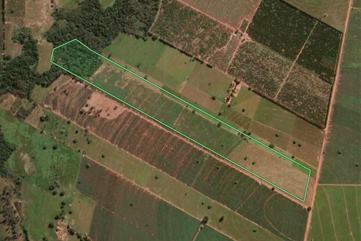 Imagem de satélite do imóvel rural em Alto Paraná (PR), com o contorno declarado no CAR desenhado por cima.