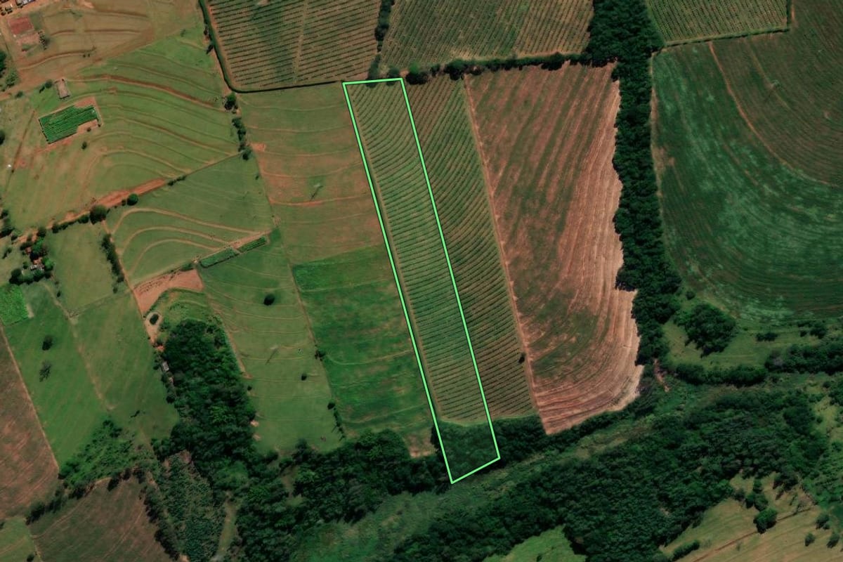 Imagem de satélite do imóvel rural em Alto Paraná (PR), com o contorno declarado no CAR desenhado por cima.