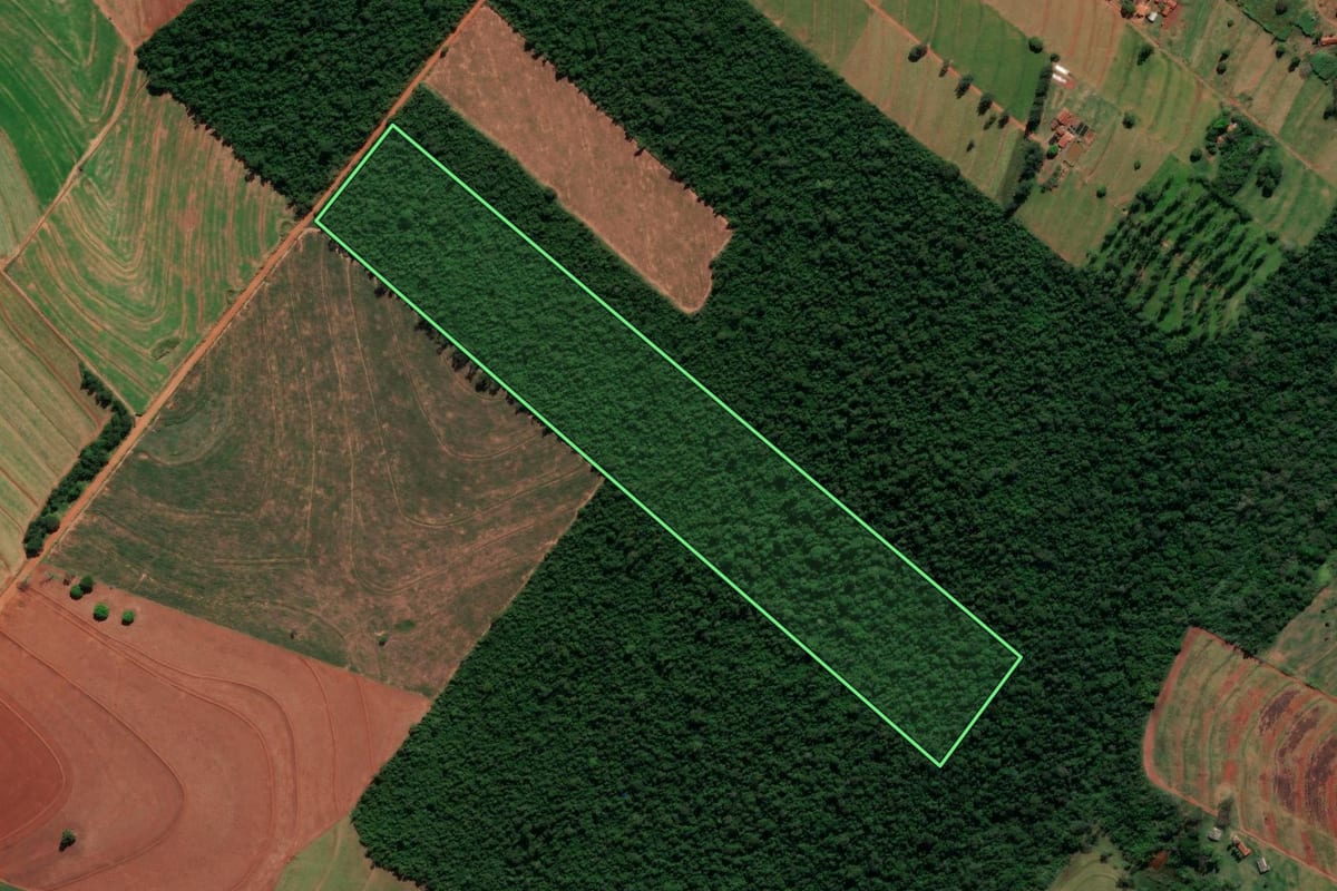 Imagem de satélite do imóvel rural em Alto Paraná (PR), com o contorno declarado no CAR desenhado por cima.