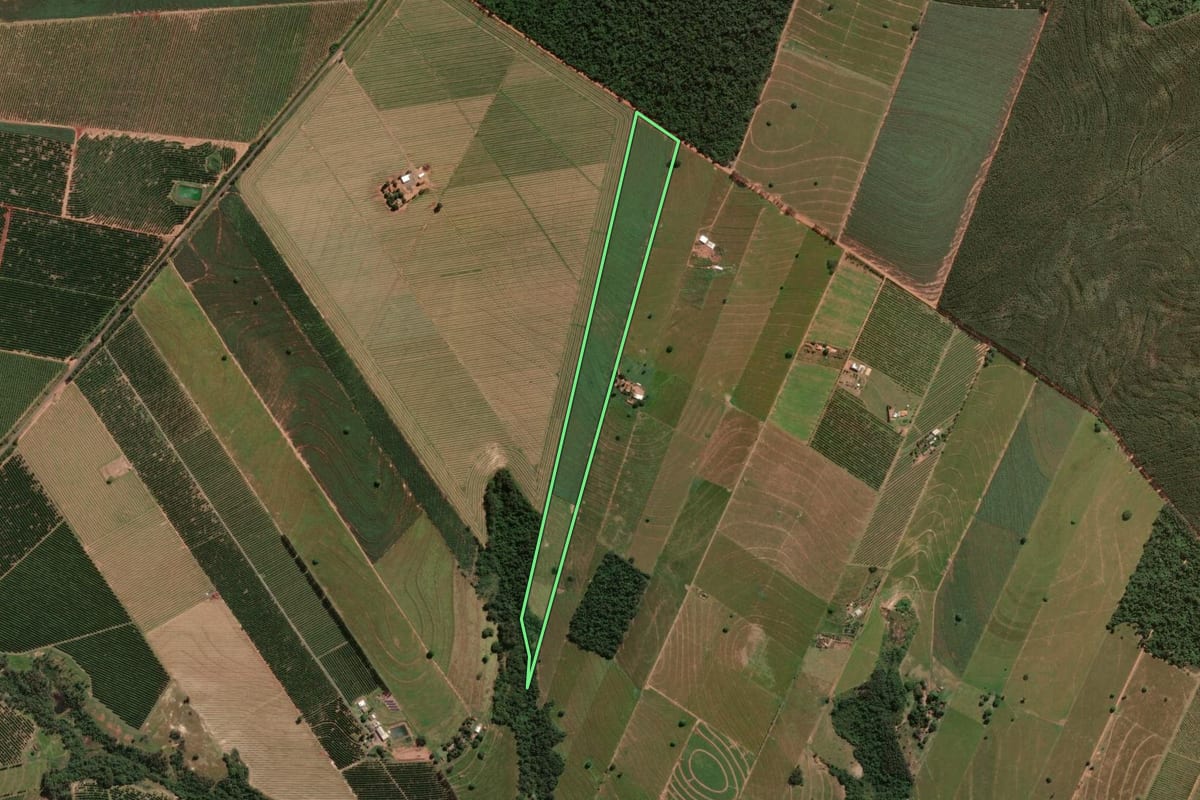 Imagem de satélite do imóvel rural em Alto Paraná (PR), com o contorno declarado no CAR desenhado por cima.