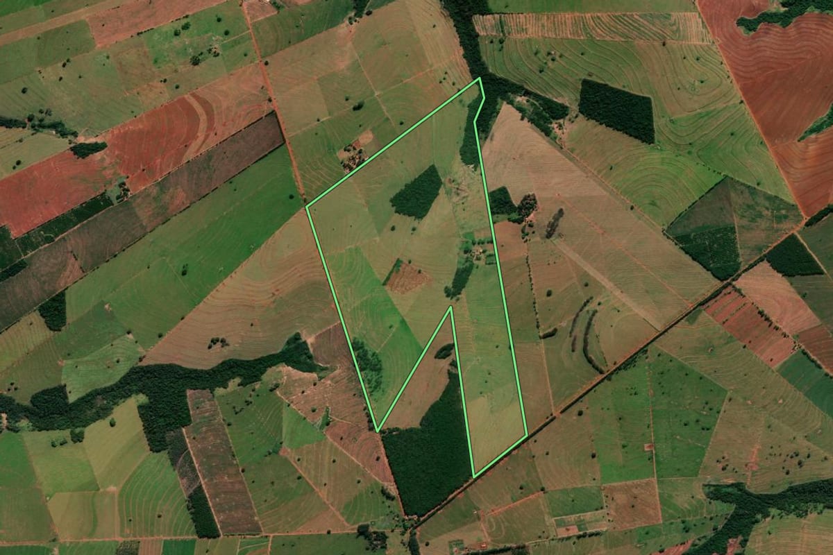 Imagem de satélite do imóvel rural em Alto Paraná (PR), com o contorno declarado no CAR desenhado por cima.