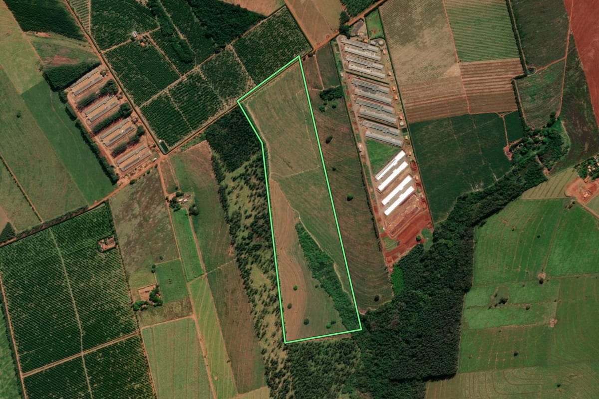 Imagem de satélite do imóvel rural em Alto Paraná (PR), com o contorno declarado no CAR desenhado por cima.
