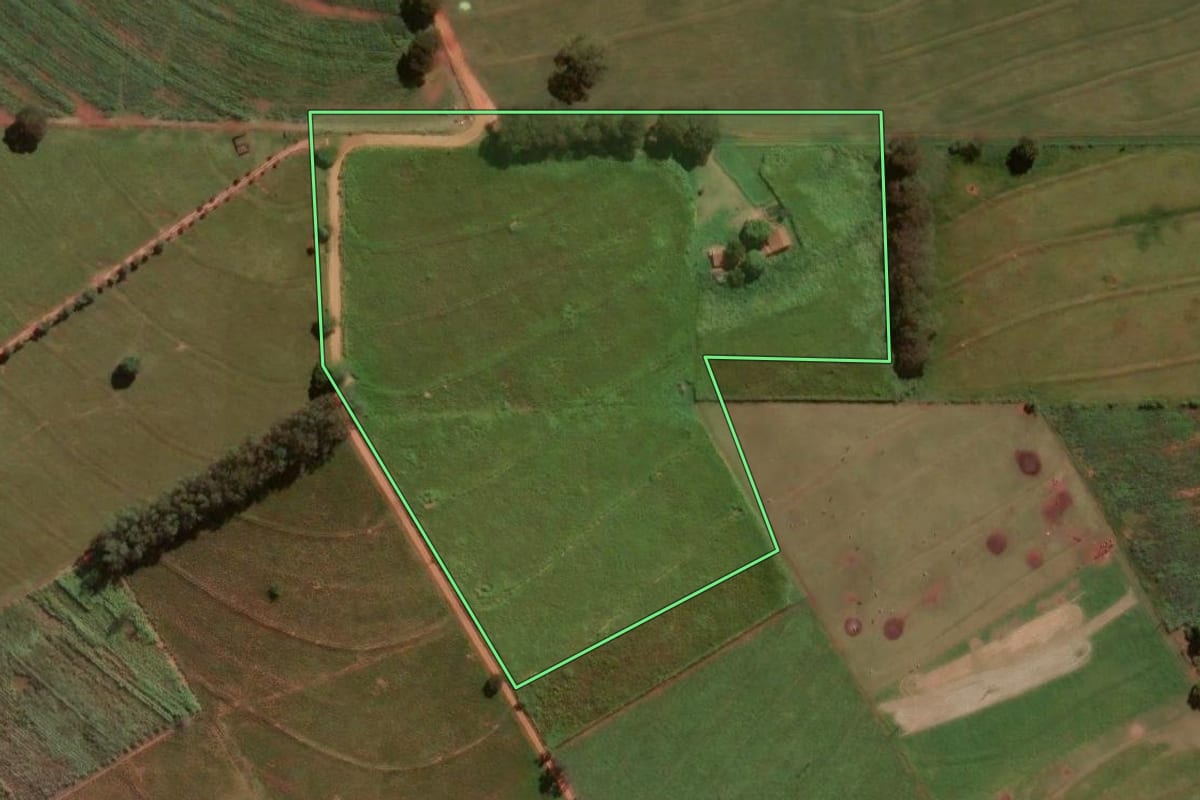 Imagem de satélite do imóvel rural em Alto Paraná (PR), com o contorno declarado no CAR desenhado por cima.