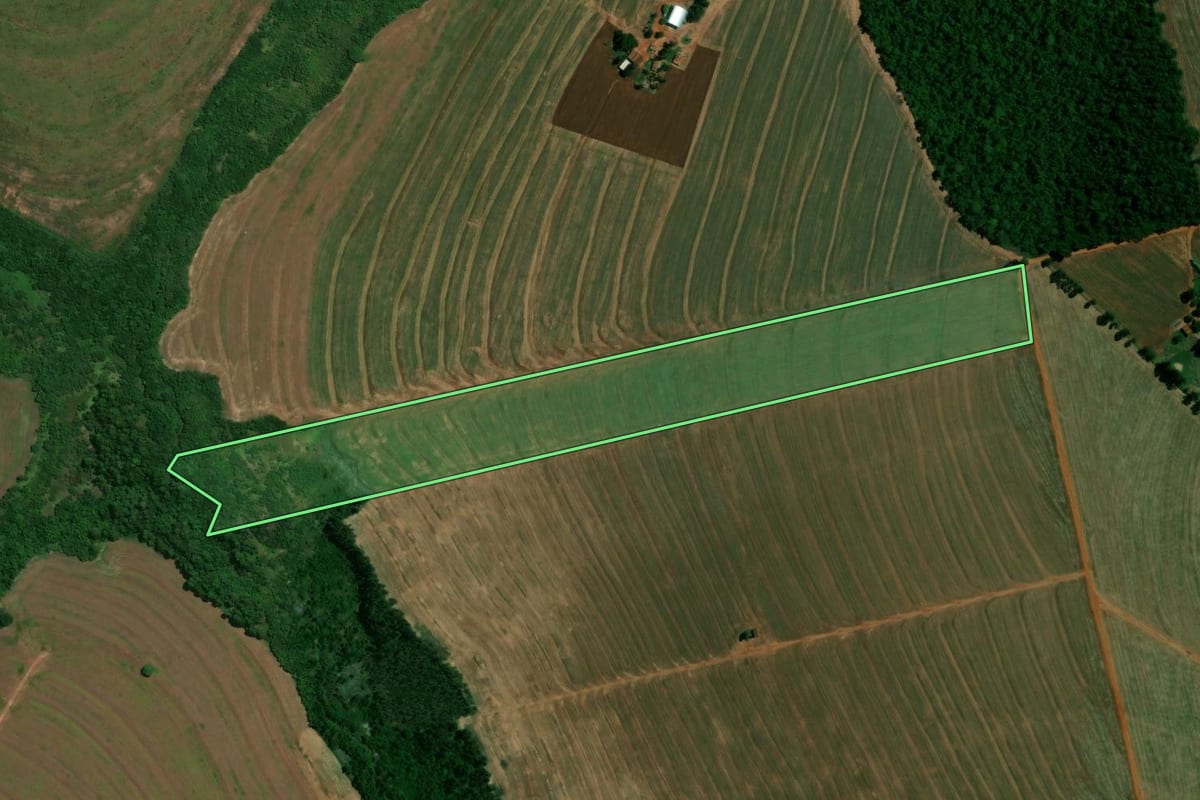 Imagem de satélite do imóvel rural em Alto Piquiri (PR), com o contorno declarado no CAR desenhado por cima.