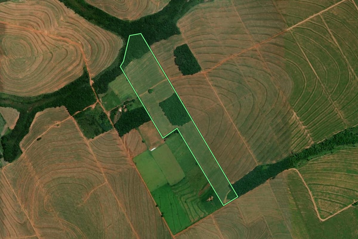 Imagem de satélite do imóvel rural em Alto Piquiri (PR), com o contorno declarado no CAR desenhado por cima.
