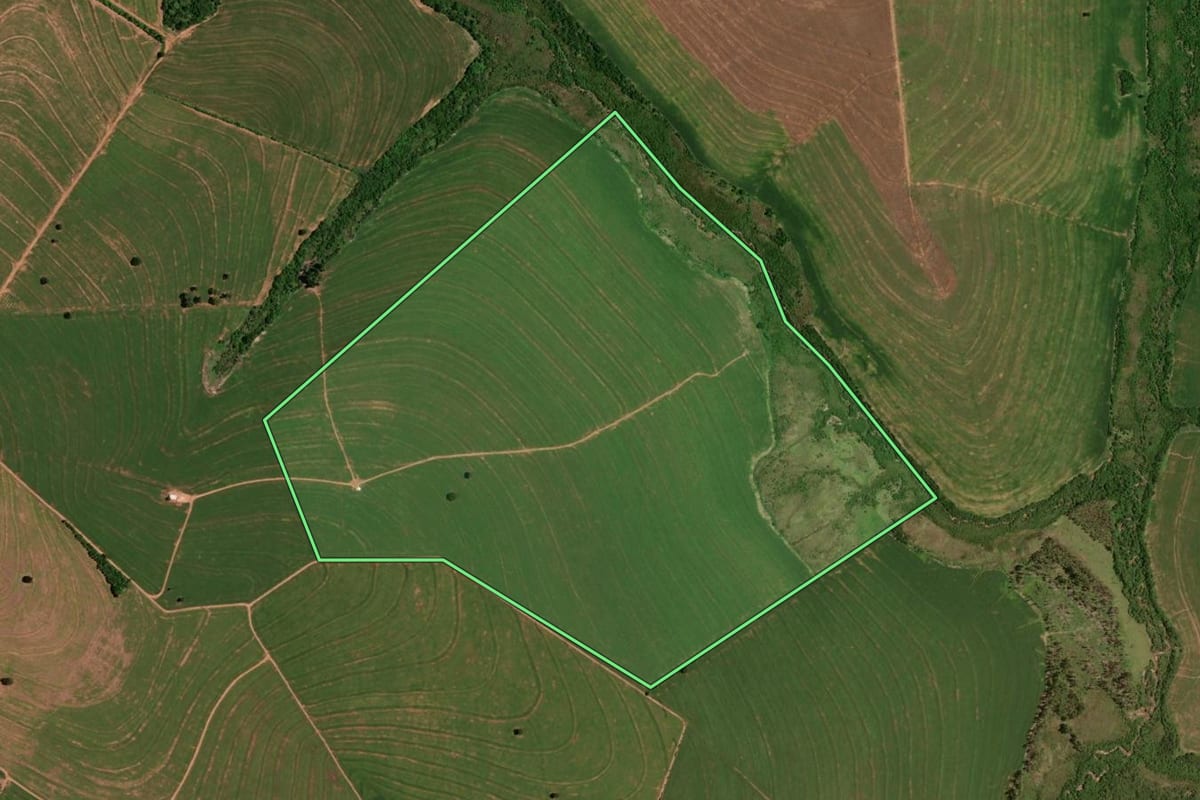 Imagem de satélite do imóvel rural em Alto Piquiri (PR), com o contorno declarado no CAR desenhado por cima.