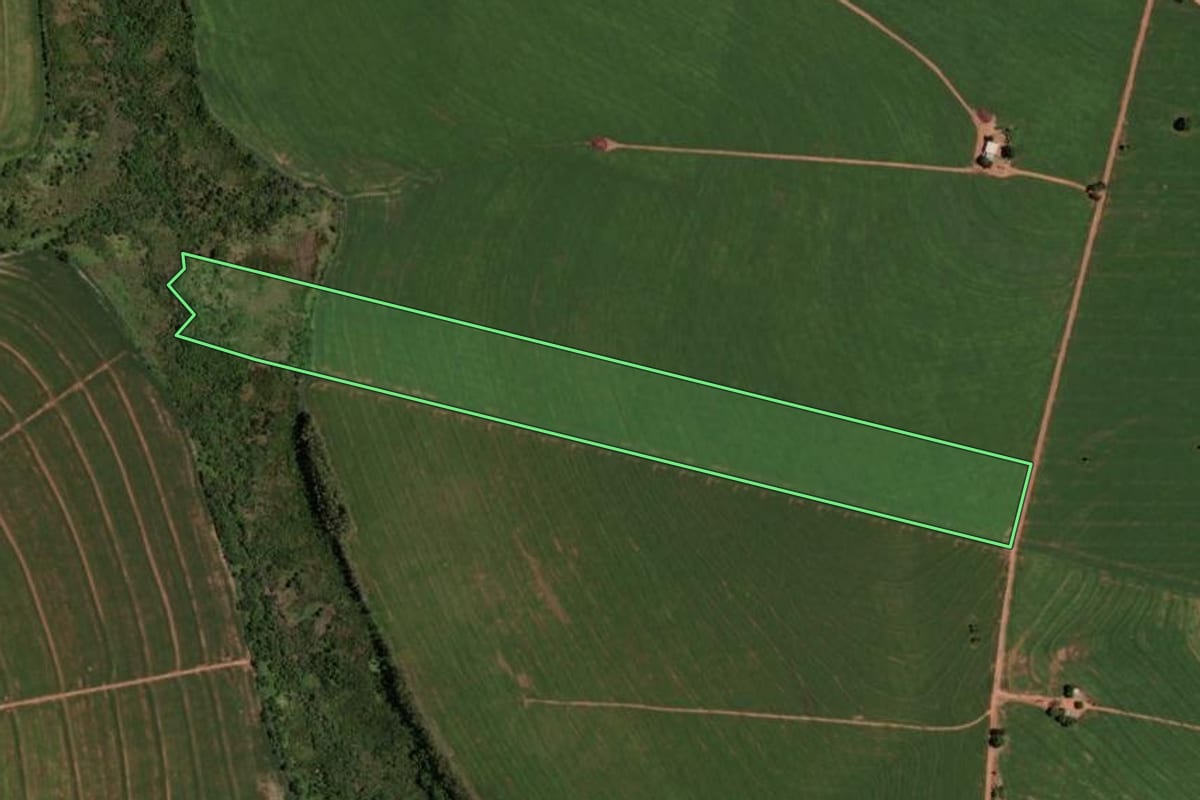 Imagem de satélite do imóvel rural em Alto Piquiri (PR), com o contorno declarado no CAR desenhado por cima.
