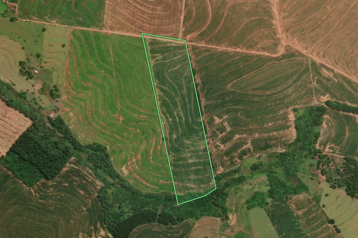 Imagem de satélite do imóvel rural em Alto Piquiri (PR), com o contorno declarado no CAR desenhado por cima.