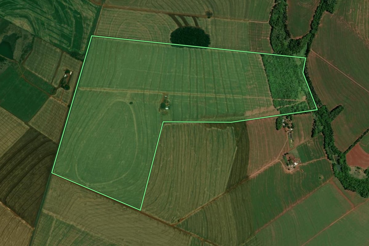Imagem de satélite do imóvel rural em Alto Piquiri (PR), com o contorno declarado no CAR desenhado por cima.