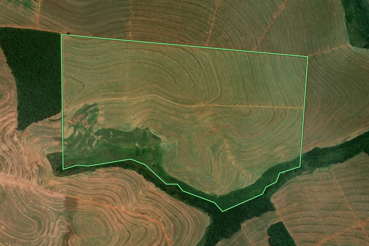 Imagem de satélite do imóvel rural em Alto Piquiri (PR), com o contorno declarado no CAR desenhado por cima.