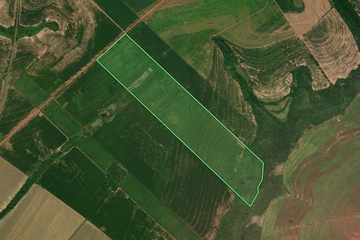Imagem de satélite do imóvel rural em Alto Piquiri (PR), com o contorno declarado no CAR desenhado por cima.