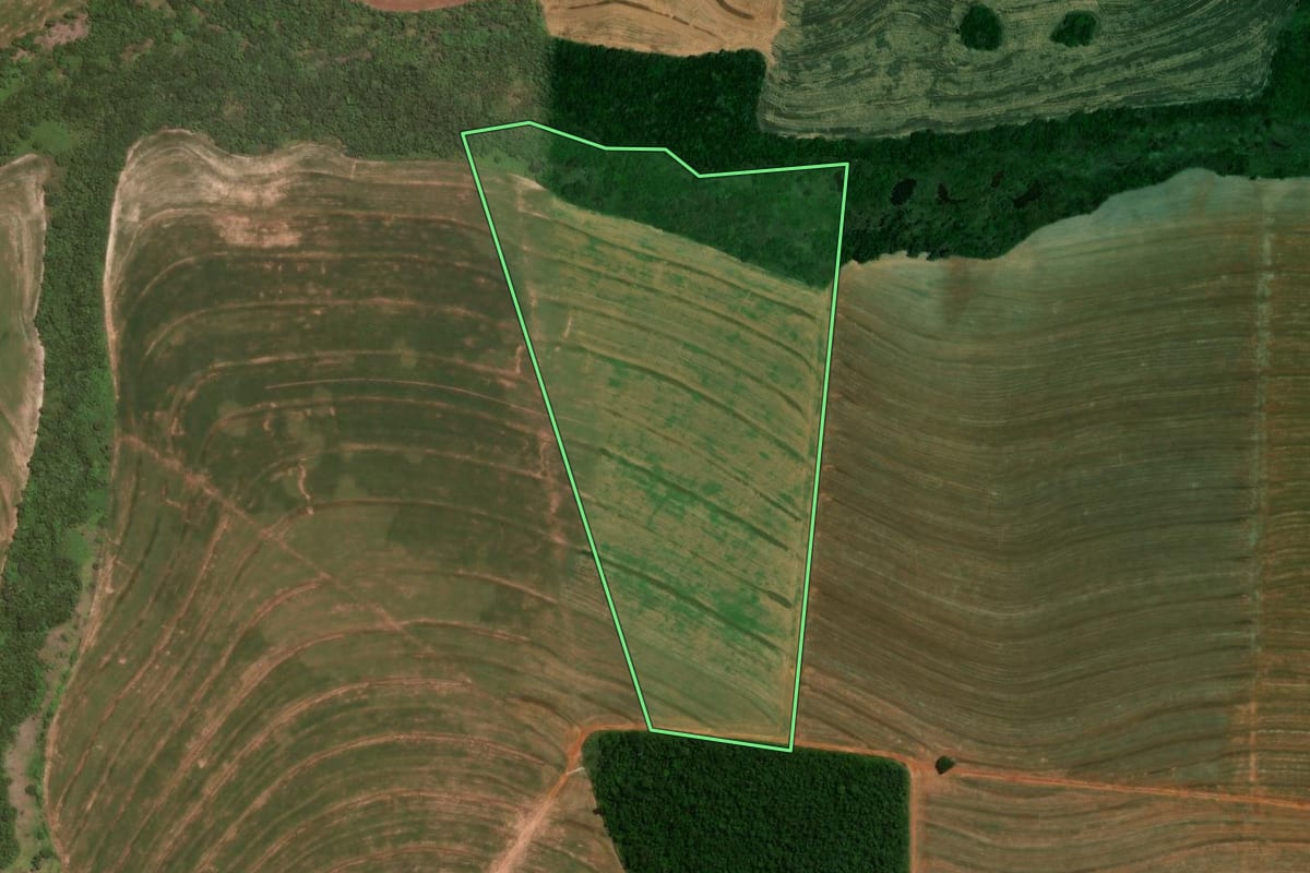 Imagem de satélite do imóvel rural em Alto Piquiri (PR), com o contorno declarado no CAR desenhado por cima.