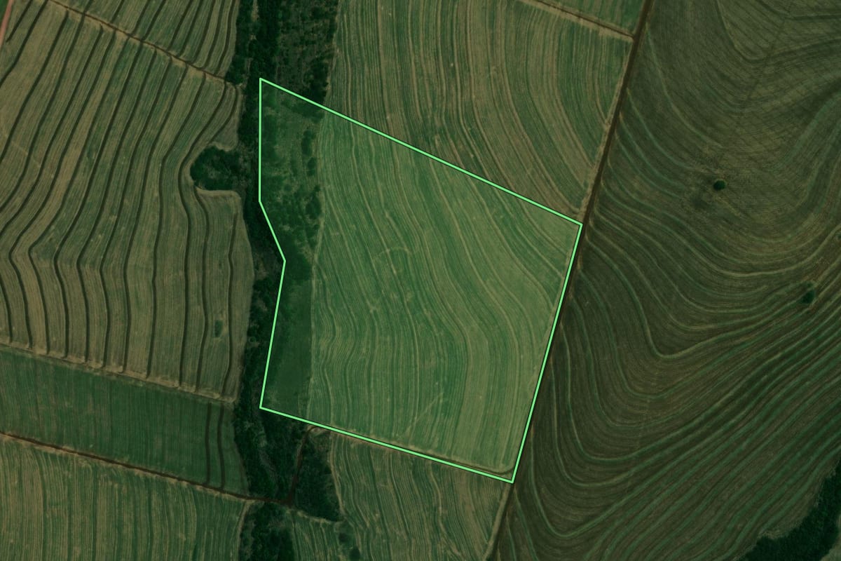 Imagem de satélite do imóvel rural em Alto Piquiri (PR), com o contorno declarado no CAR desenhado por cima.
