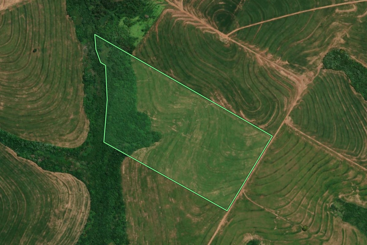 Imagem de satélite do imóvel rural em Alto Piquiri (PR), com o contorno declarado no CAR desenhado por cima.