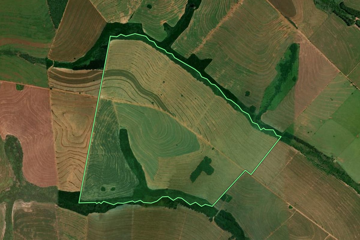 Imagem de satélite do imóvel rural em Alto Piquiri (PR), com o contorno declarado no CAR desenhado por cima.
