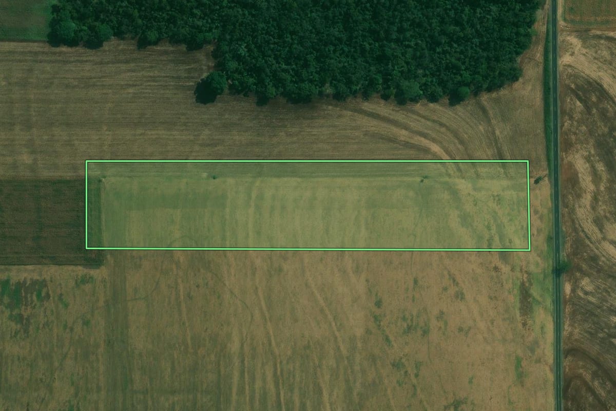 Imagem de satélite do imóvel rural em Alvorada do Sul (PR), com o contorno declarado no CAR desenhado por cima.