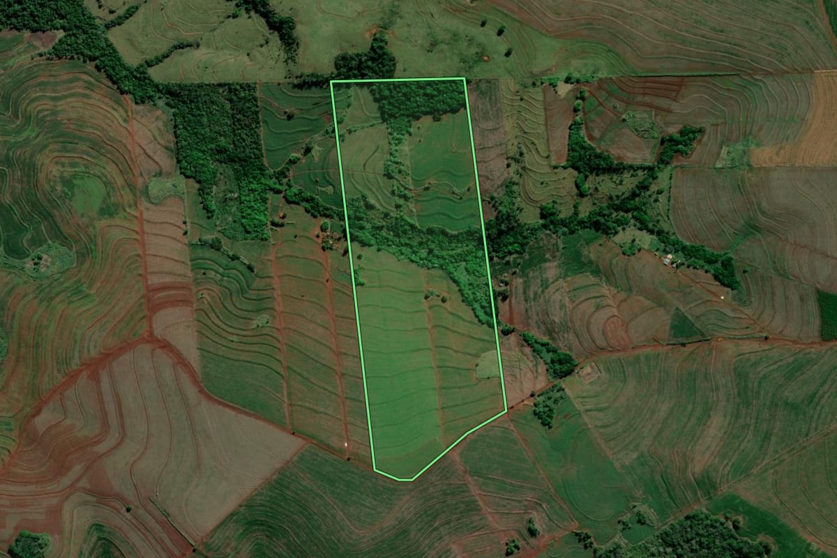 Imagem de satélite do imóvel rural em Alvorada do Sul (PR), com o contorno declarado no CAR desenhado por cima.