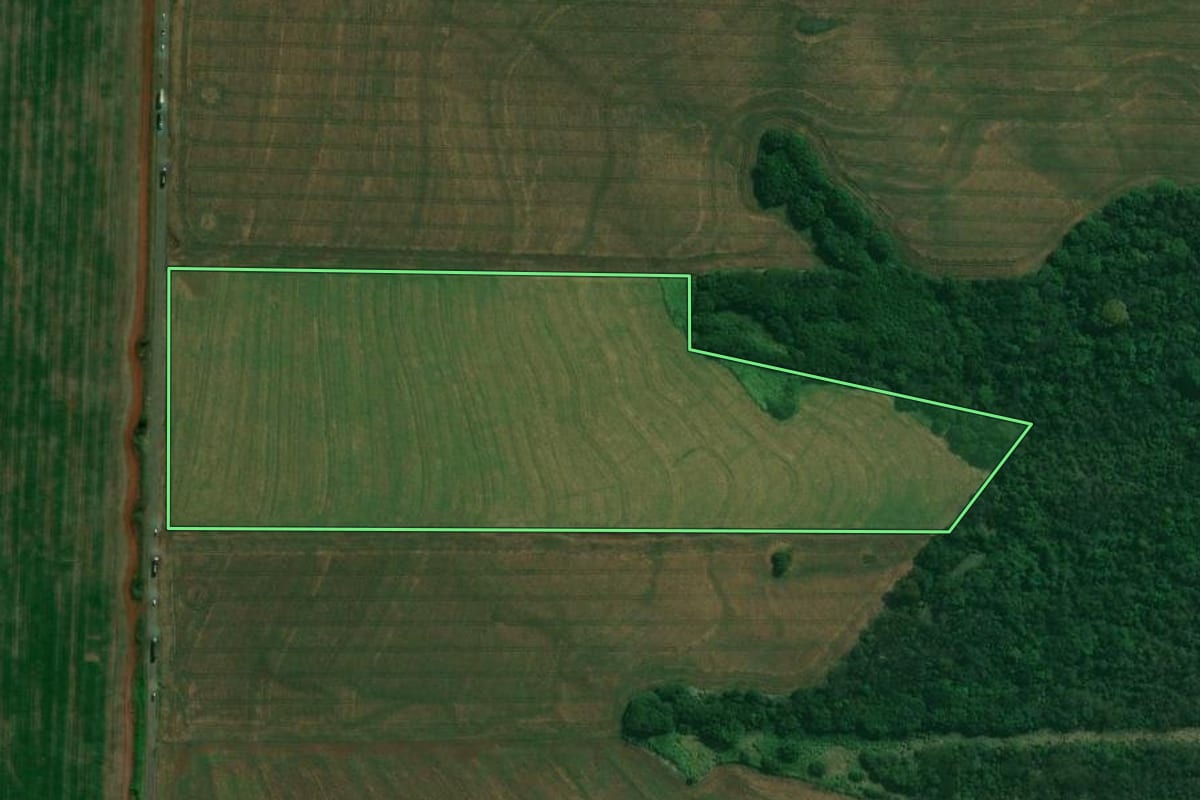Imagem de satélite do imóvel rural em Alvorada do Sul (PR), com o contorno declarado no CAR desenhado por cima.