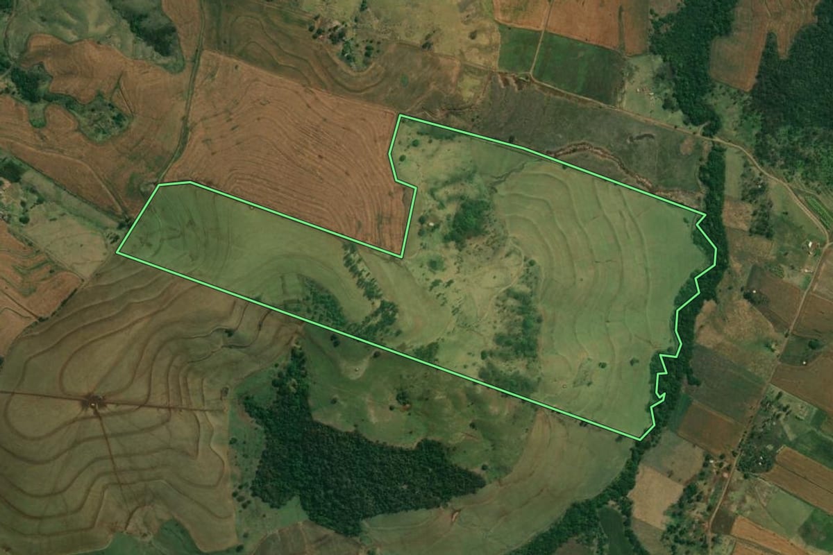 Imagem de satélite do imóvel rural em Alvorada do Sul (PR), com o contorno declarado no CAR desenhado por cima.