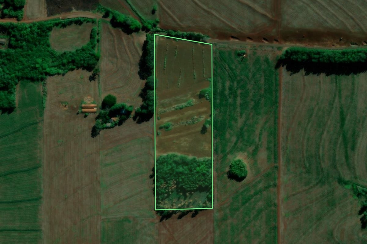 Imagem de satélite do imóvel rural em Alvorada do Sul (PR), com o contorno declarado no CAR desenhado por cima.