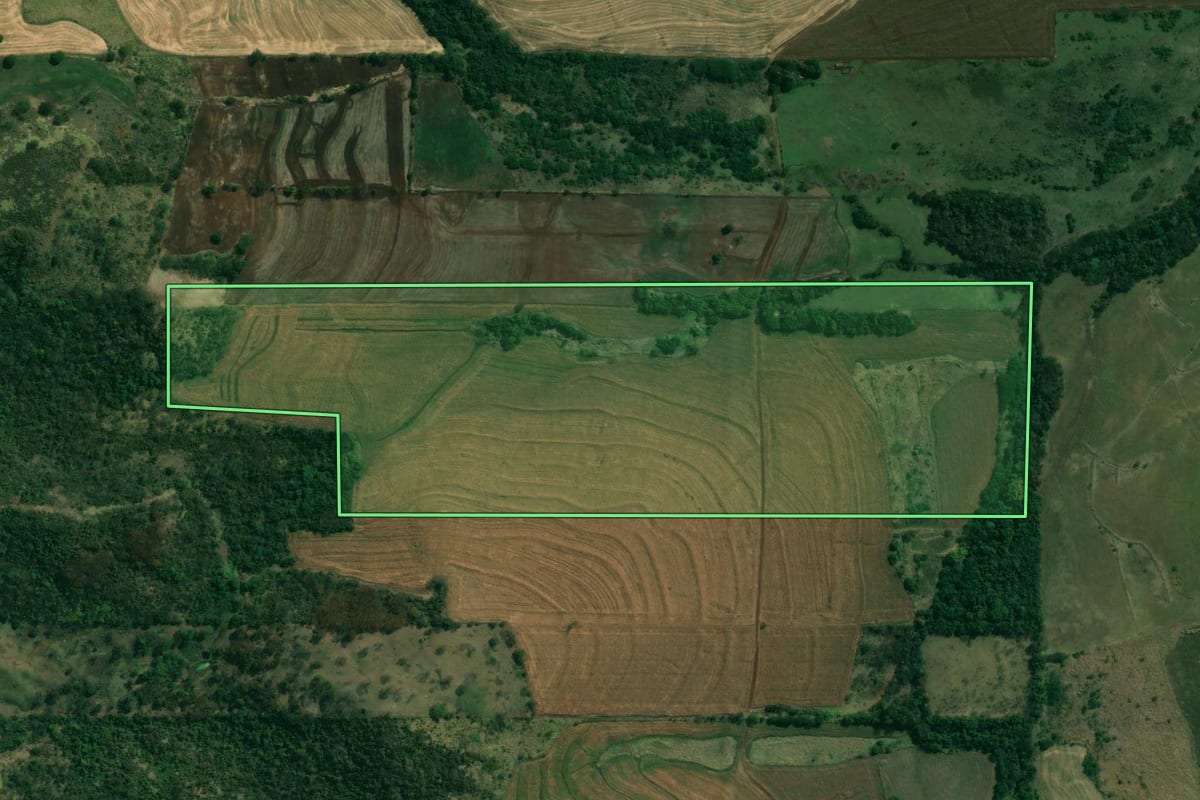 Imagem de satélite do imóvel rural em Alvorada do Sul (PR), com o contorno declarado no CAR desenhado por cima.