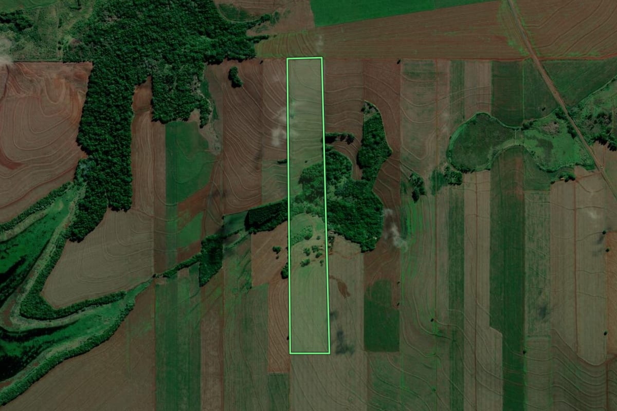 Imagem de satélite do imóvel rural em Alvorada do Sul (PR), com o contorno declarado no CAR desenhado por cima.