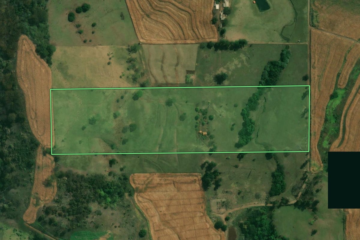 Imagem de satélite do imóvel rural em Alvorada do Sul (PR), com o contorno declarado no CAR desenhado por cima.