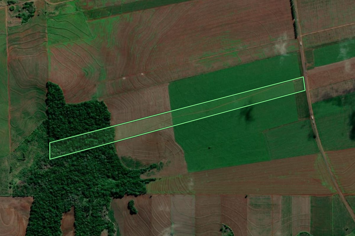Imagem de satélite do imóvel rural em Alvorada do Sul (PR), com o contorno declarado no CAR desenhado por cima.