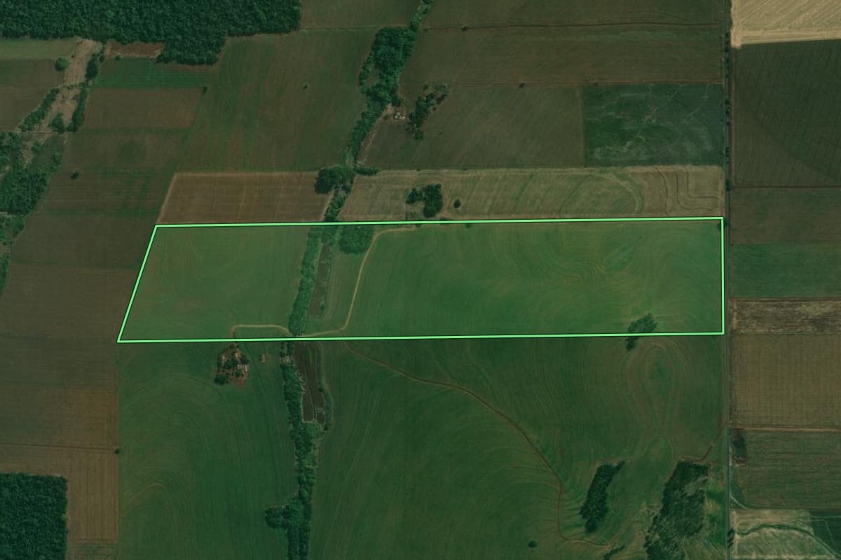 Imagem de satélite do imóvel rural em Alvorada do Sul (PR), com o contorno declarado no CAR desenhado por cima.
