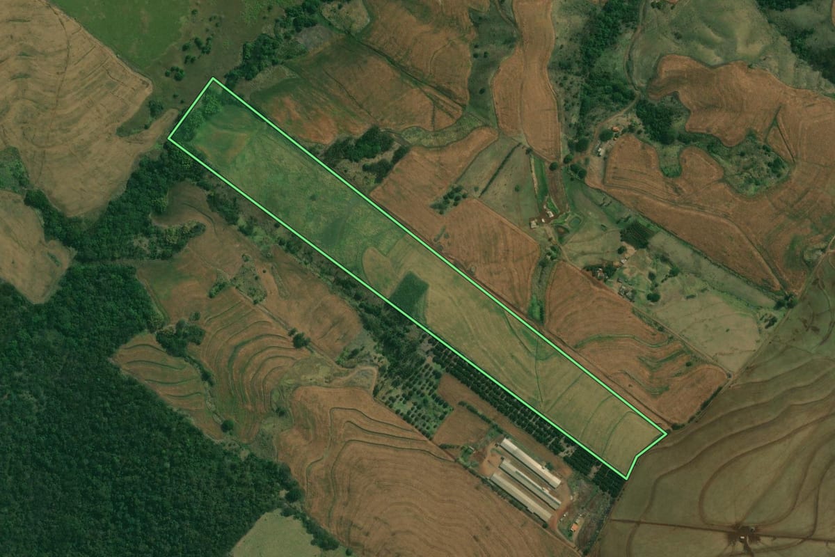 Imagem de satélite do imóvel rural em Alvorada do Sul (PR), com o contorno declarado no CAR desenhado por cima.