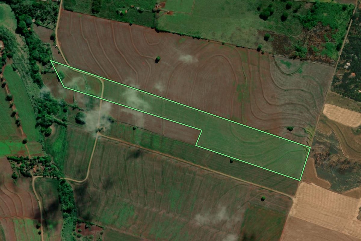 Imagem de satélite do imóvel rural em Alvorada do Sul (PR), com o contorno declarado no CAR desenhado por cima.