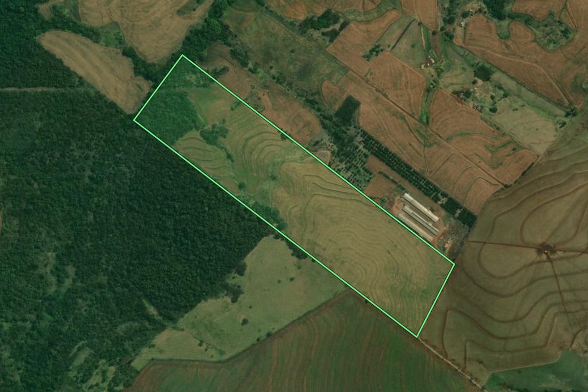 Imagem de satélite do imóvel rural em Alvorada do Sul (PR), com o contorno declarado no CAR desenhado por cima.