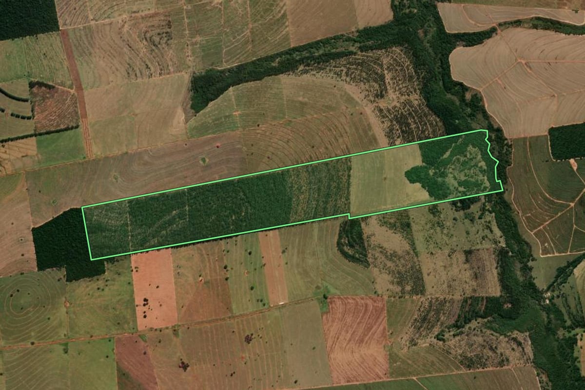 Imagem de satélite do imóvel rural em Amaporã (PR), com o contorno declarado no CAR desenhado por cima.